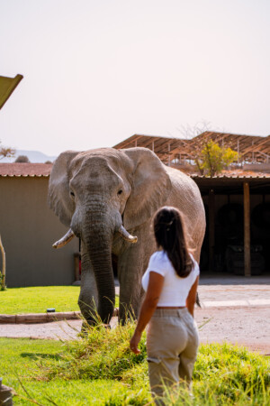 10 Tage Namibia Roadtrip