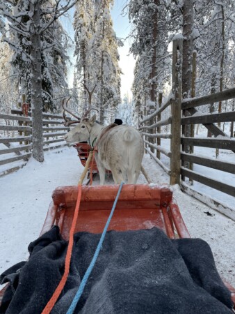 Lappland im Winter, eine unvergessliche Reise